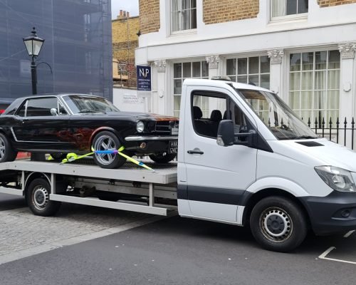 IMG-20240319-WA0021(1)