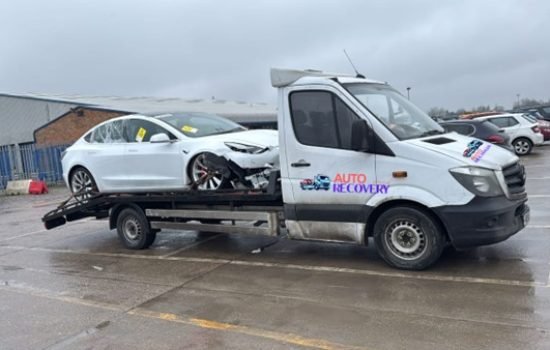 WhatsApp Image 2025-02-10 at 15.36.21_08cadb7f